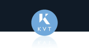 Kinesis Velocity Token